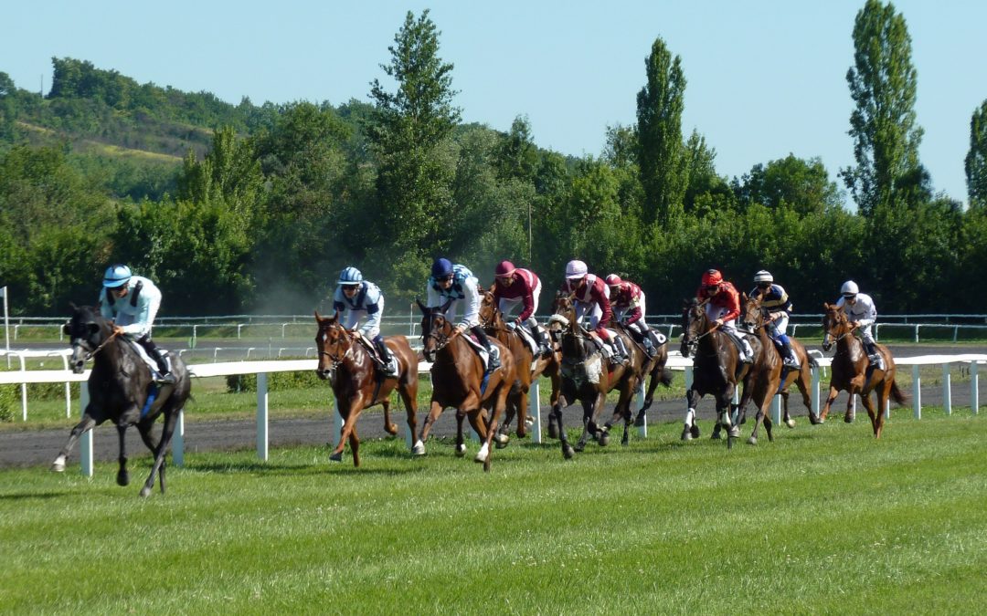 ¿CUÁL ES LA SITUACIÓN ACTUAL DE LAS CARRERAS DE CABALLOS?