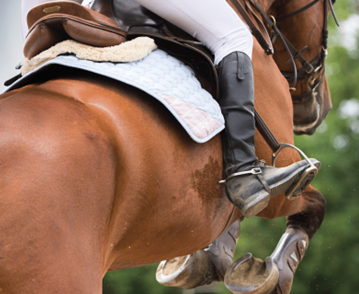 Botas de montar a caballo, equitación e hípica