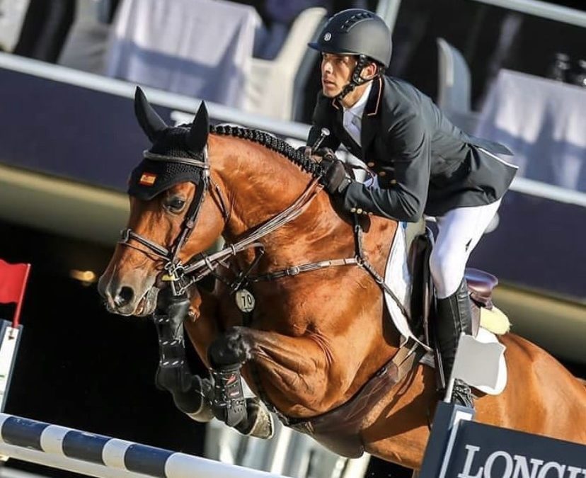 Rokfeller de Pleville Bois Margot, consagrado como «Caballo del Año 2024» por EquiRating Jumping