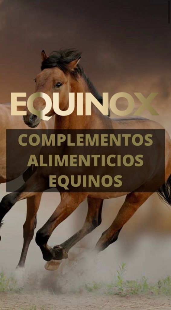 EQUINOX EQUINE, SUPLEMENTOS TOP PARA TU CABALLO