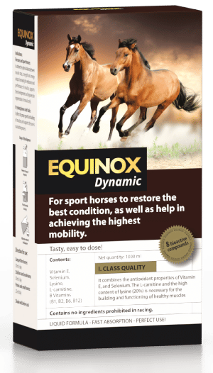 Equinox Equine Y Porqué Son Los Suplementos Alimenticios Que Necesita ...