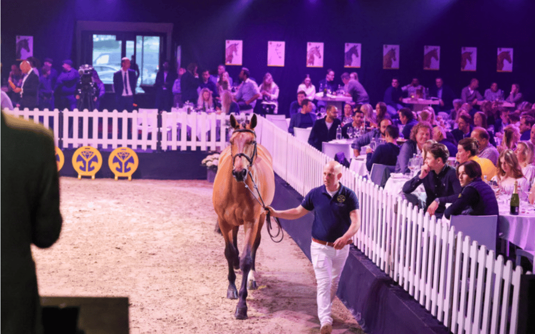 ¿Por qué un caballo puede valer más de un millón de euros?