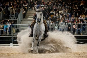 Madrid horse week
