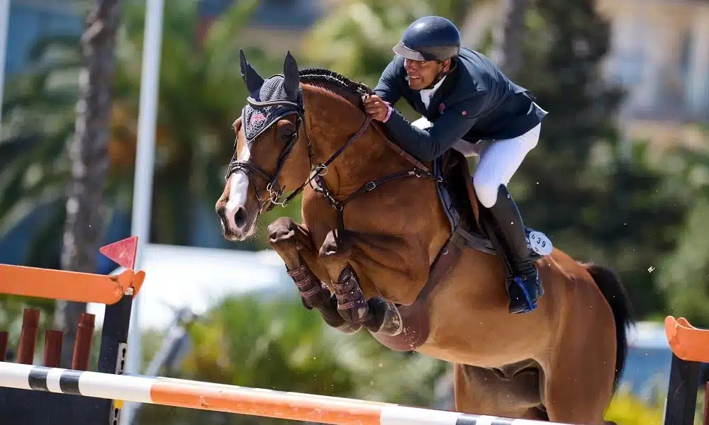 Casi todos los caballos del equipo español del CSIO5* de Barcelona se alimentan con Special Feeds