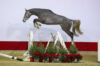 David Gonzalez Recio