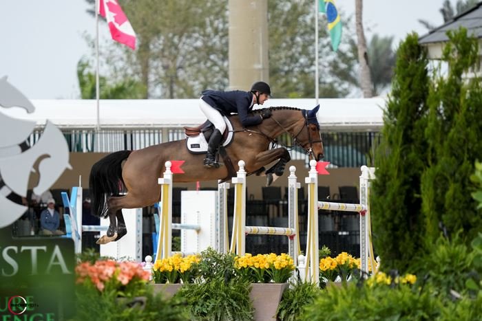 Mclain Ward