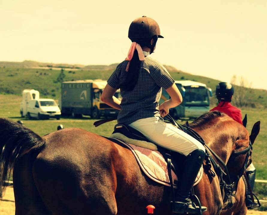 titularidad de un caballo