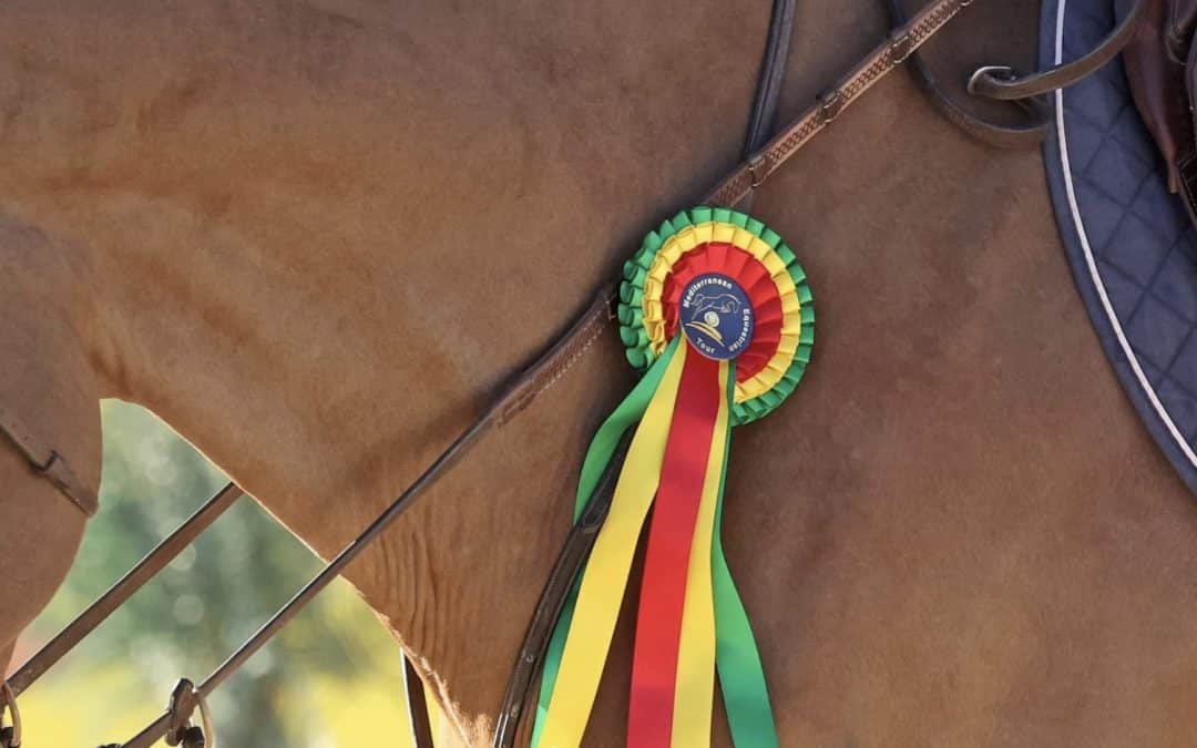 Actualización de EHV-1: todos los caballos aislados restantes en Oliva autorizados para salir