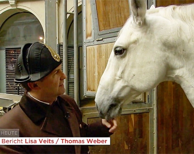Despedido el Jefe de Jinetes de la Escuela de Equitación de Viena