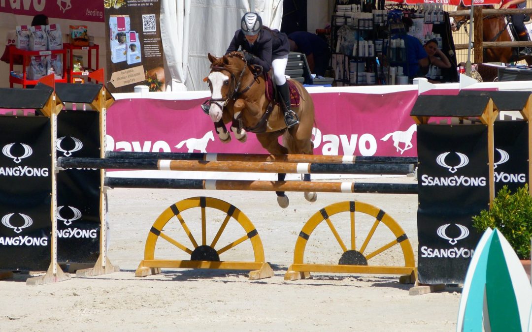 Reflexiones personales sobre el Campeonato de España de Ponis