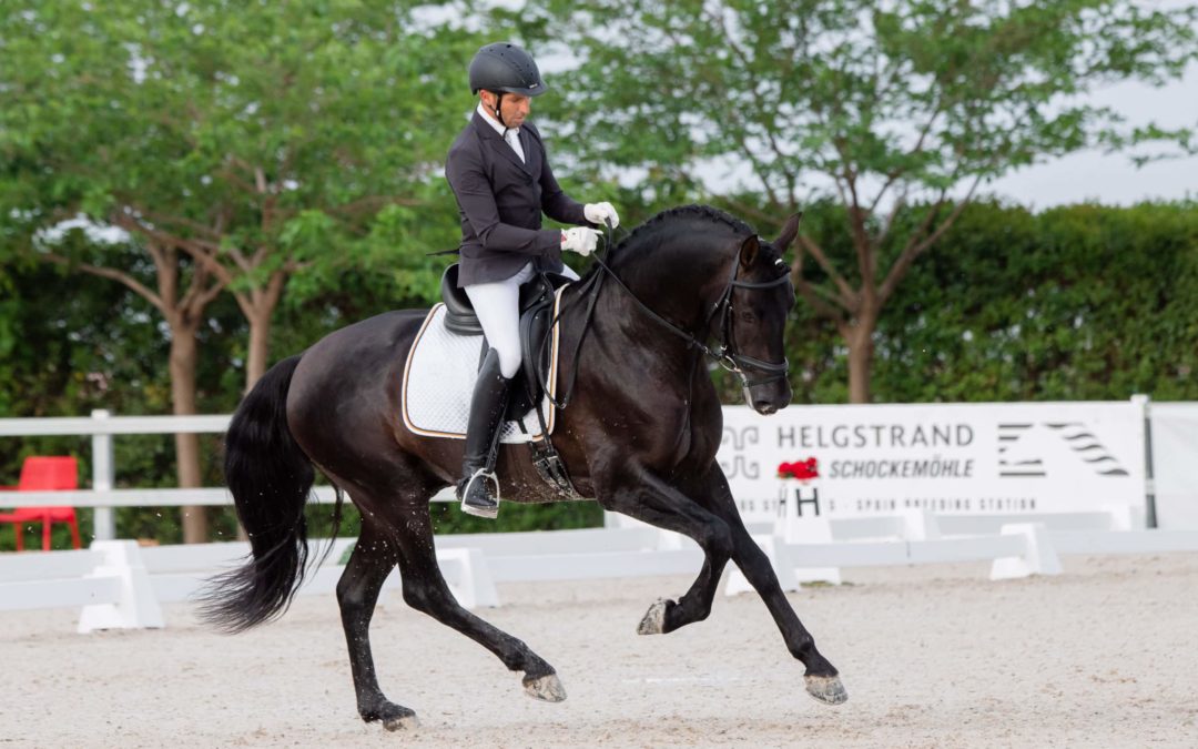 Pruebas de Selección de Caballos Jóvenes