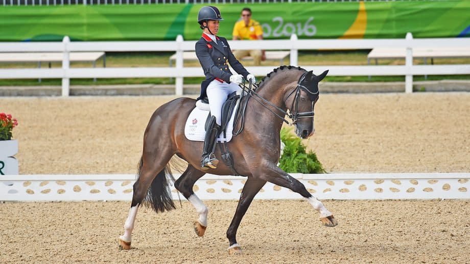 El camino brillante de Valegro