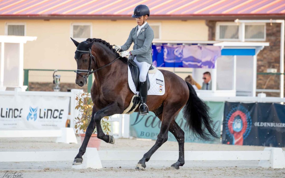 Campeonato de Europa de Doma Clásica