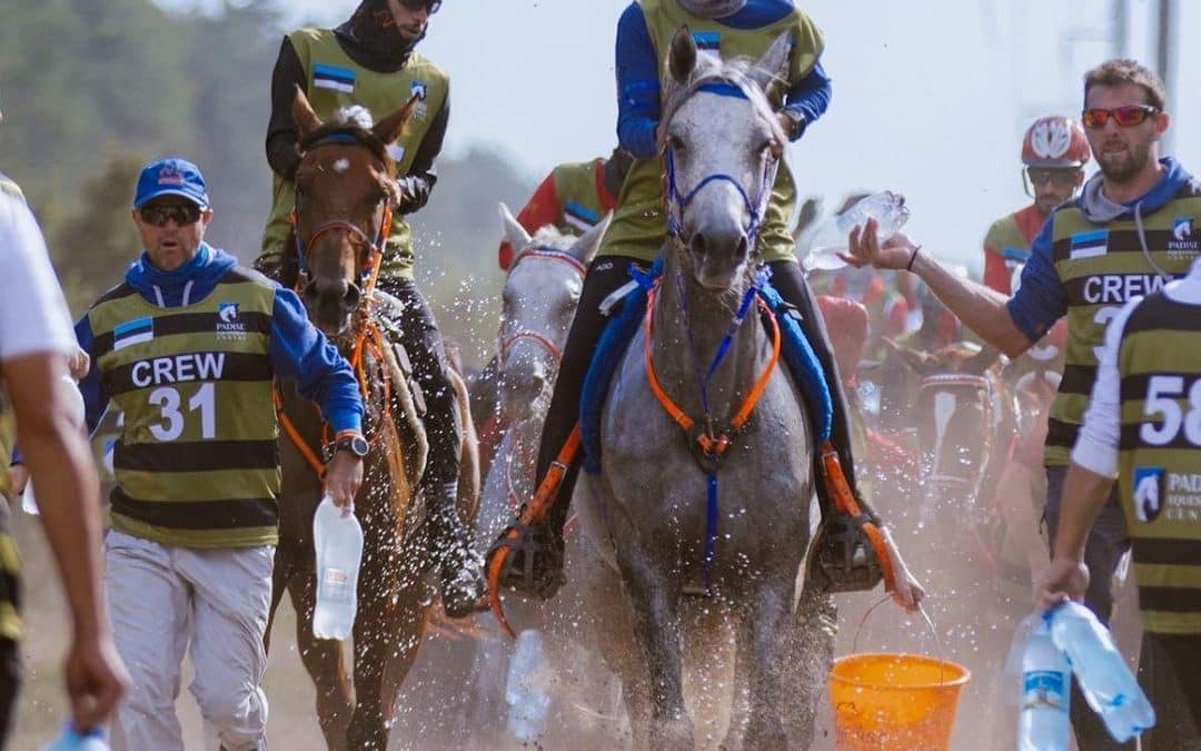 Gil Berenguer y “Fatal”, medalla de bronce en el Mundial de Raid de Caballos Jóvenes 2023