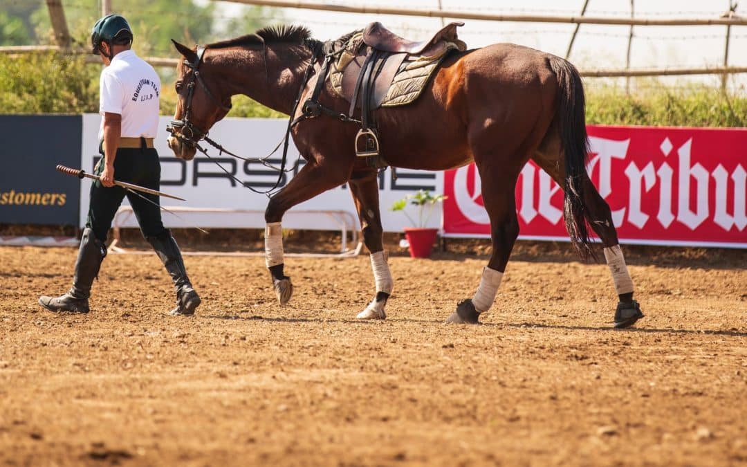 Cuida los tendones de tu caballo: Evita el sobrecalentamiento en verano con vendajes y protectores