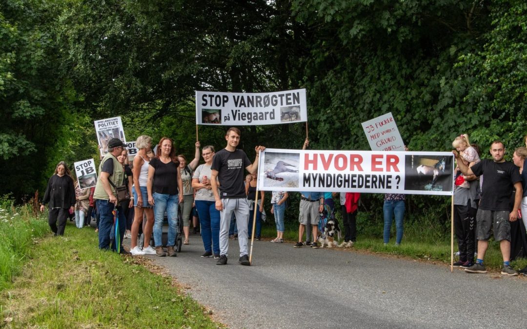 Caso Viegård Stutteri, Dinamarca. La mejor y la peor cara del deporte