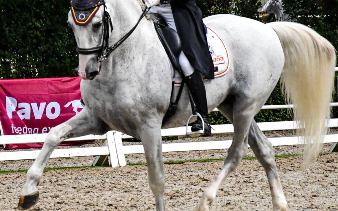 Campeonato de España de menores de Doma Clásica