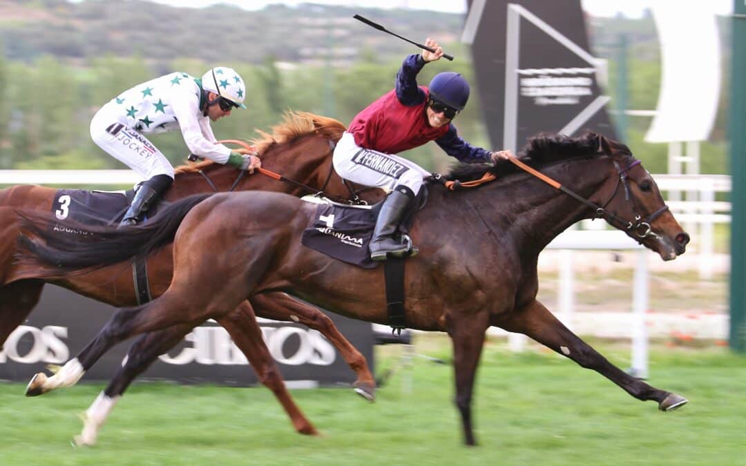 “Kowalsky” y “Pamplona, Gemela del Derby, se vuelven a retar en el Gran Premio Villamejor