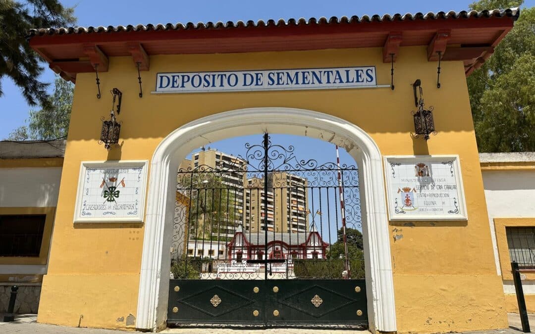 La reactivación de Sementales como centro de referencia en torno al caballo en Jerez de la Frontera