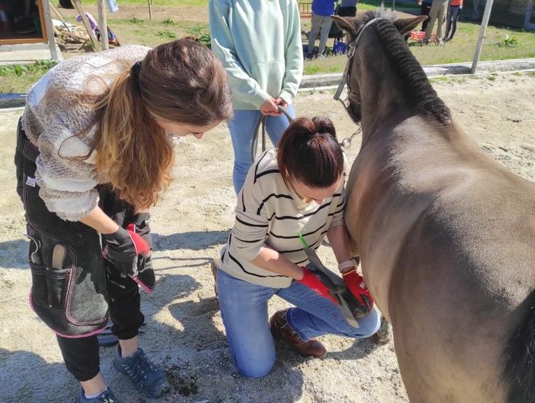 Prácticas en clinic “Gestión del casco descalzo en el caballo de deporte” CEREC, Brión 2023