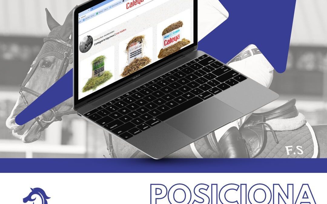 Potencia tu presencia online: El SEO, una Herramienta fundamental