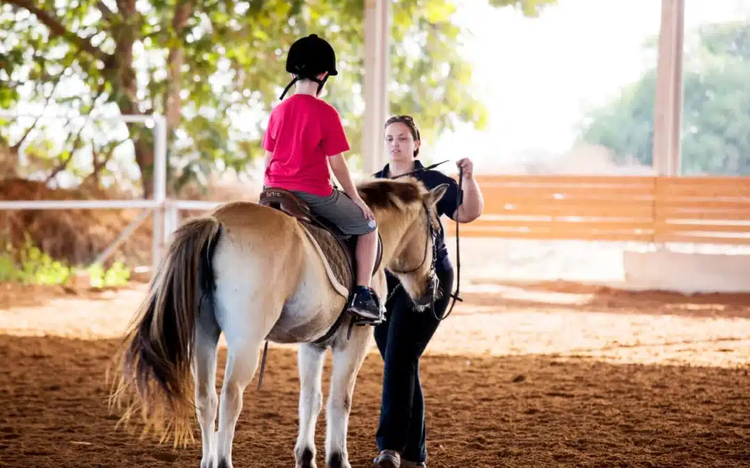 Las mejores razas de caballos para la equitación adaptada