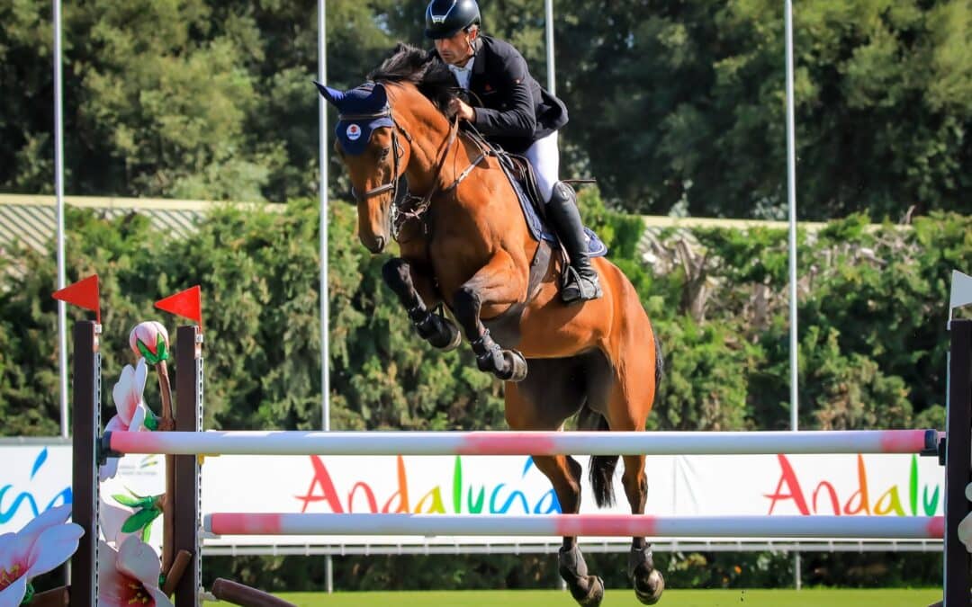 Arrancan los Campeonatos de España de Saltos en Montenmedio con más de 700 caballos participantes