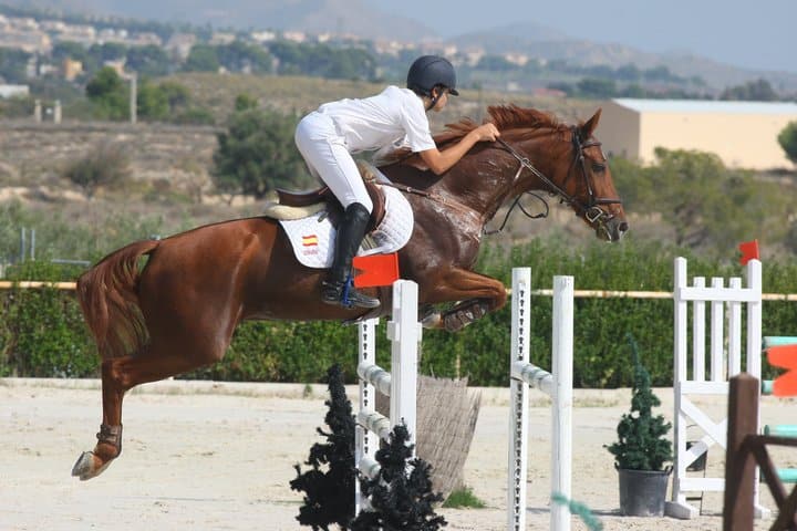 Competiciones de este fin de semana ¿Dónde saltan nuestros deportistas?