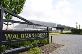 Oportunidad laboral en Waldman Horses