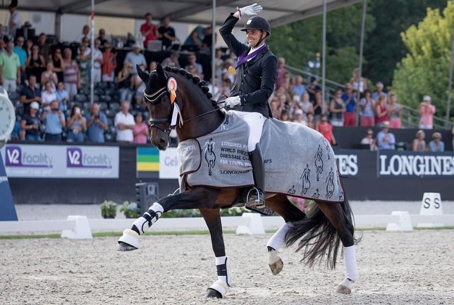 Nuevo caballo en el equipo portugués de Doma Clásica para las Olimpiadas de París 2024