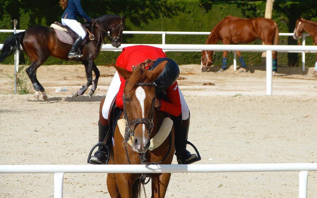 Medición para Ponis prevista para el Trofeo Poniclub de España