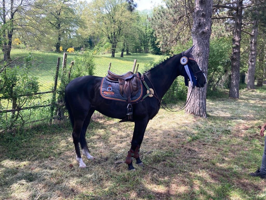 Carlos Díaz entrevista completo