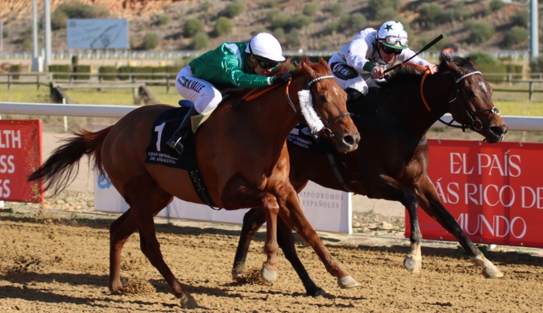 Jornada de sorpresas en la segunda dominical de la temporada en Gran Hipódromo de Andalucía