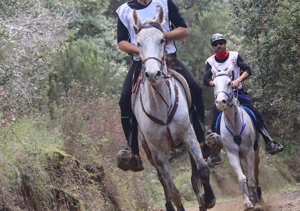 Joan Moret y Alex Luque, Ganadores de los 2* de Santa Susanna 2024 con un éxito de participación