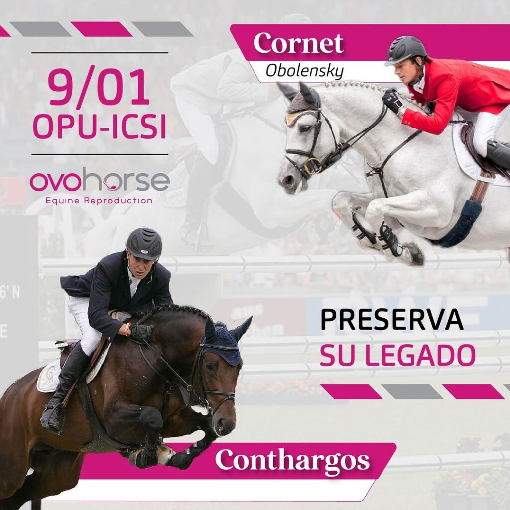 ovohorse