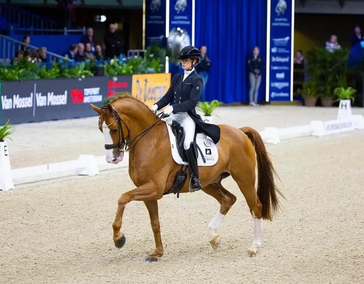 Nuevos caballos de Gran Premio se van para EEUU con objetivo París 2024