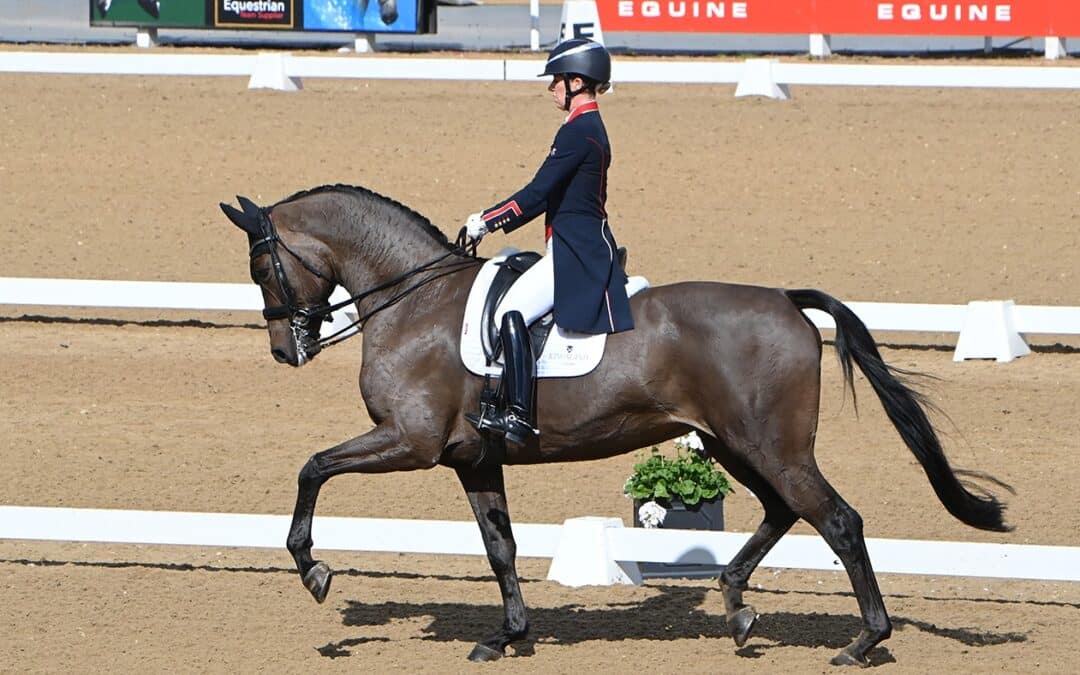 Otro caballo de Gran Premio se va para Estados Unidos, esta vez de Charlotte Dujardin