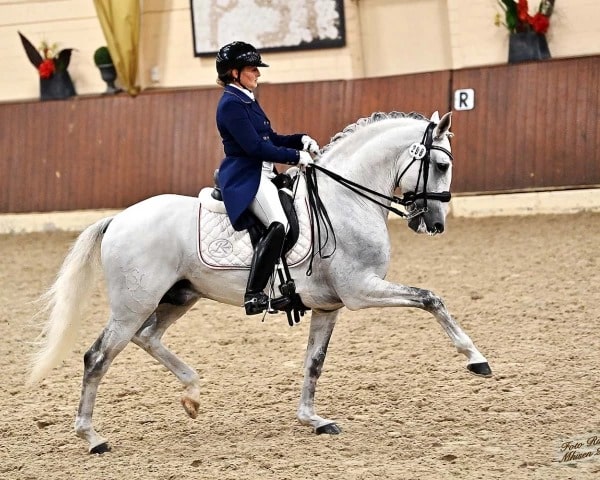 Nuevo caballo de Gran Premio para la cuadra de Severo Jurado López