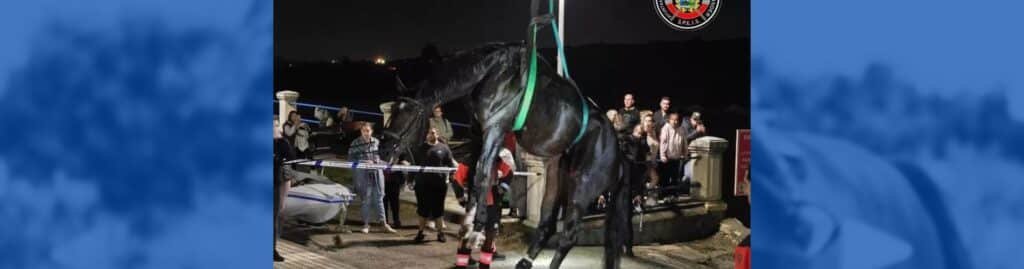 Santander caballo herido