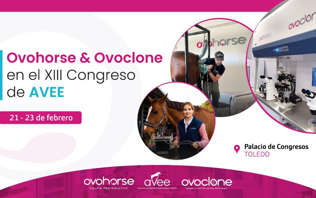 Descubre la innovación en reproducción equina con Ovohorse & Ovoclone en el XIII Congreso AVEE