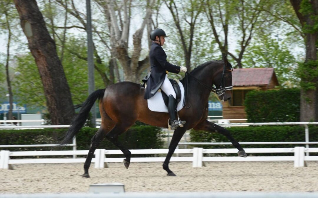 Arturo Díaz Mellado y Spanish Dressage D&M