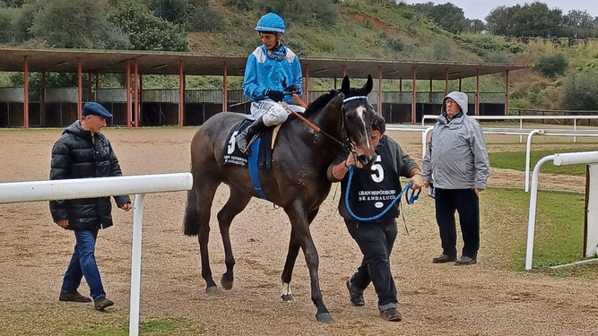 Dobletes vencedores de Anaya y Valle en una jornada lluviosa en el Gran Hipódromo de Andalucía