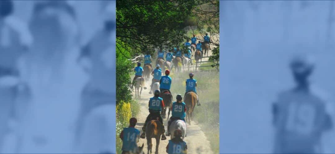 Reubicación del Campeonato de España de Raid Junior 1* 2024