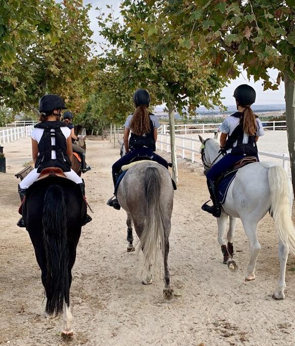 Más de 50 ponis participan en el Concurso Nacional celebrado en el Andalucía Sunshine Tour