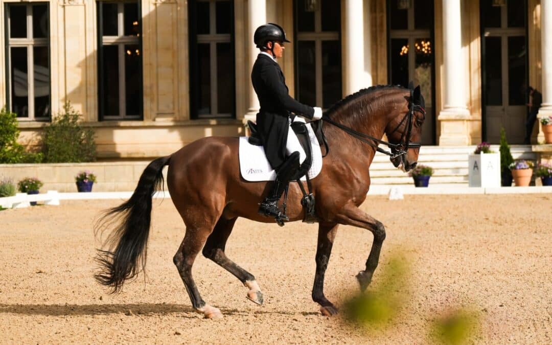 Segundo triunfo del día para García Mena en Jerez. Sensacional su Freestyle en el CDI3* de la Real Escuela