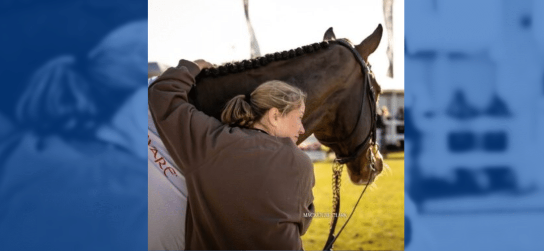 La Federación Ecuestre Danesa informa sobre la revisión del bienestar animal en competiciones nacionales