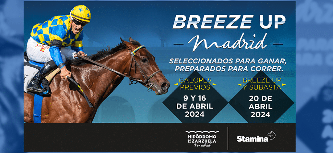 Hipódromo de La Zarzuela prepara la tercera edición de la Subasta Breeze-Up