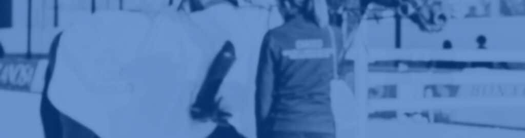 digitalización sector hípico