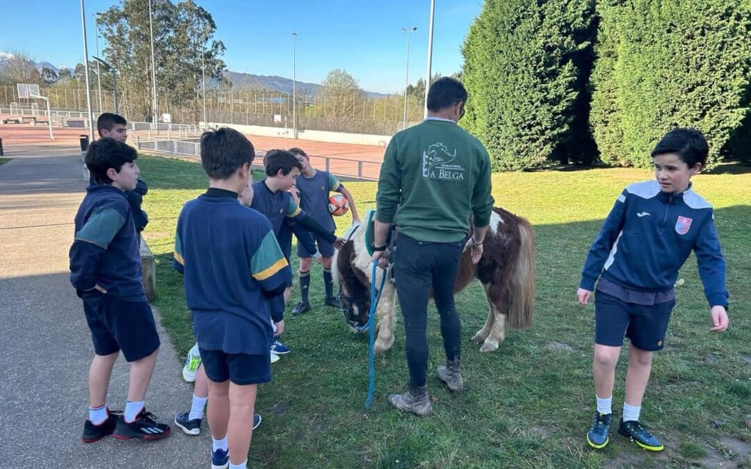 Los Caballos también van al cole: Una Innovadora Experiencia Educativa