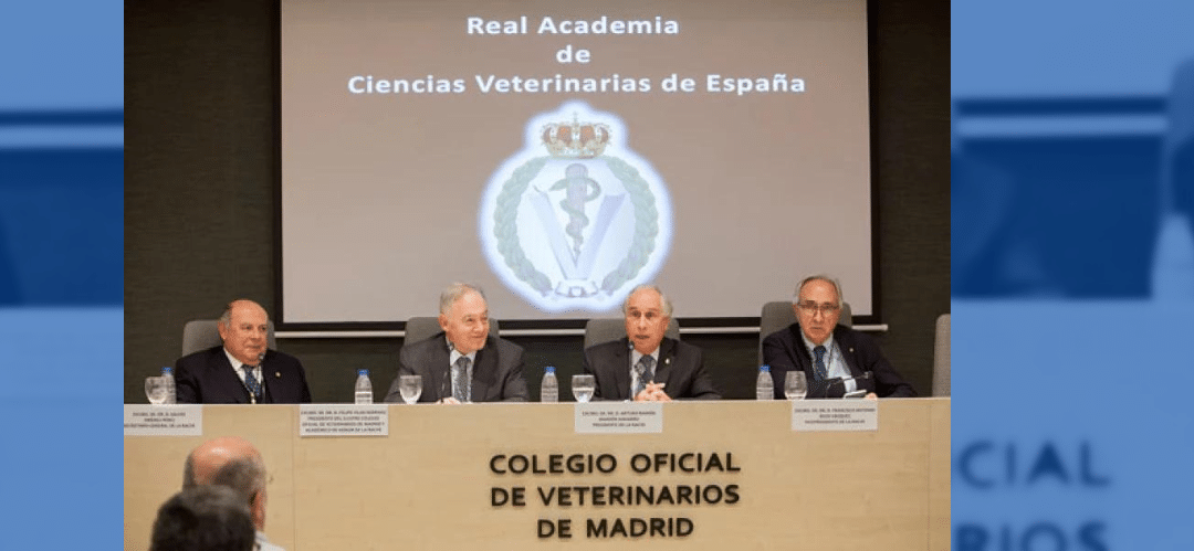 Convocatoria de Premios 2024 de la Real Academia de Ciencias Veterinarias de España